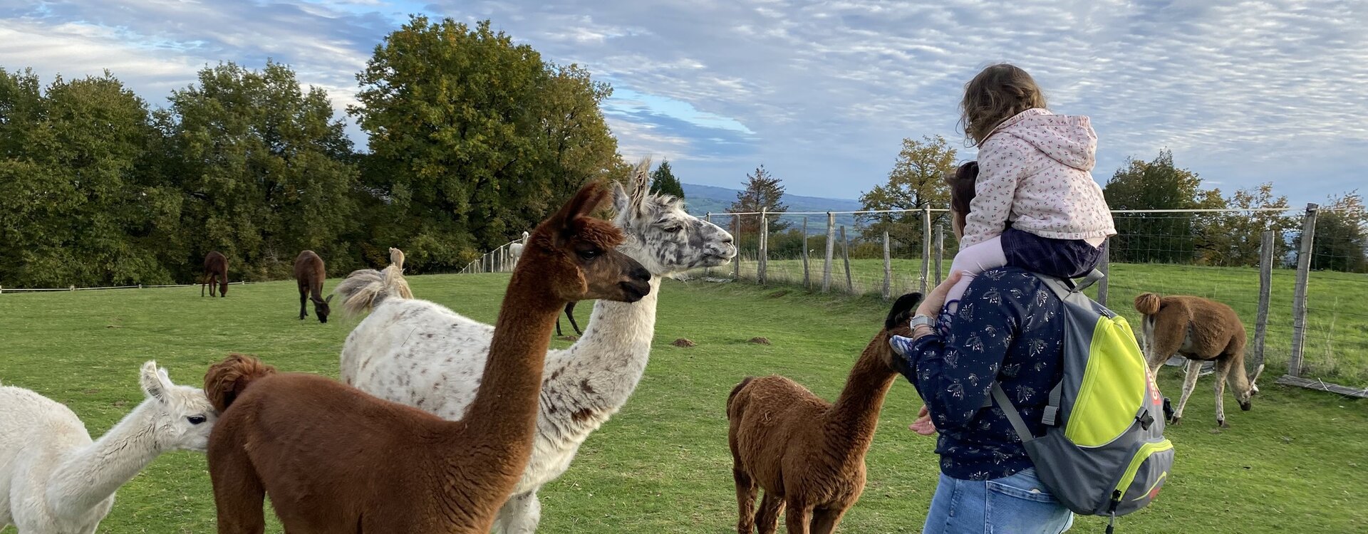 Visite du sanctuaire animalier à Quézac (Cantal)