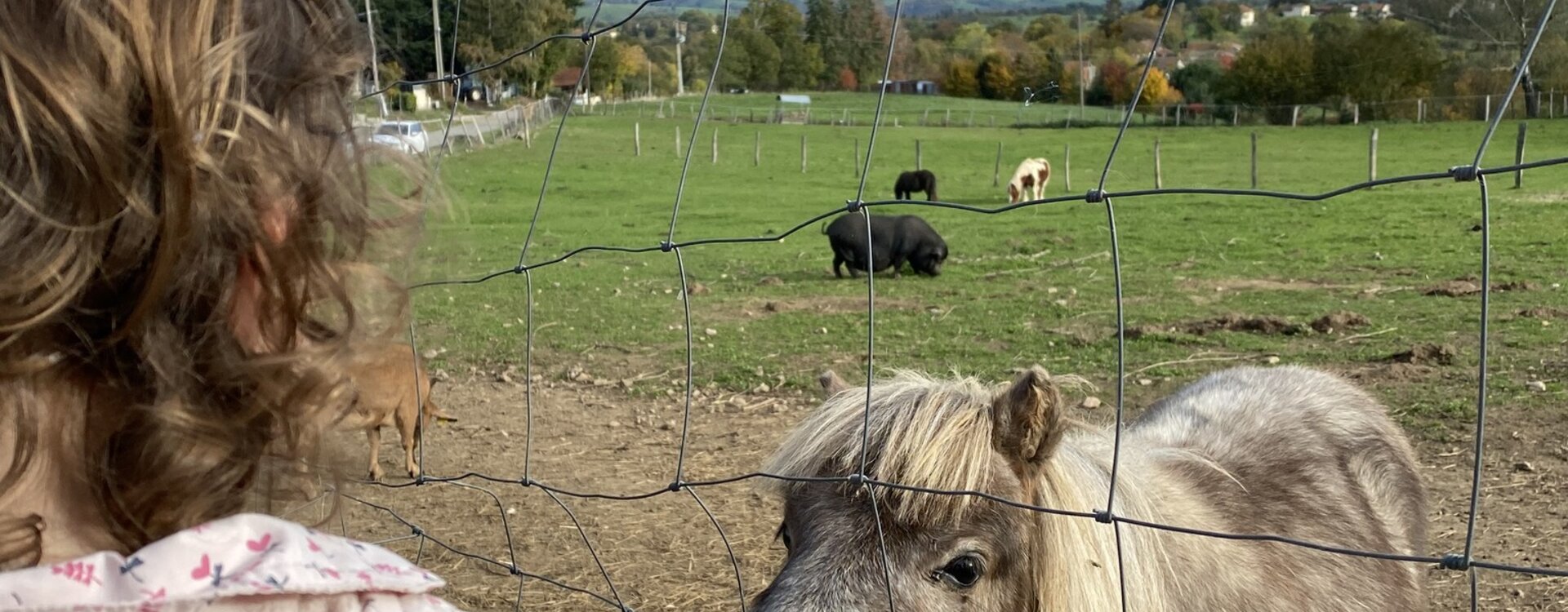 Sanctuaire animalier à Maurs (Cantal)