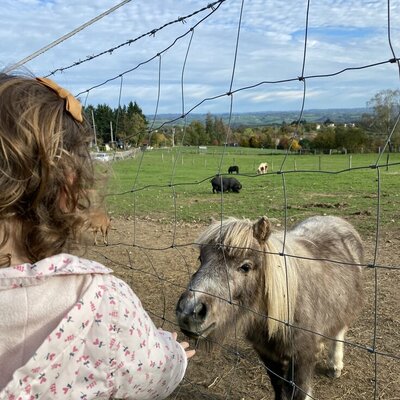 Donner   En donnant une fois ou tous les mois, vous pouvez nous aider activement ! Et même bénéficier d'une réduction fiscale en faisant une bonne action...