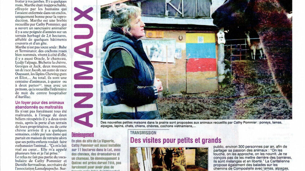 L'Arche de Cathy Pommier - L'Union du Cantal Le 11/01/2023