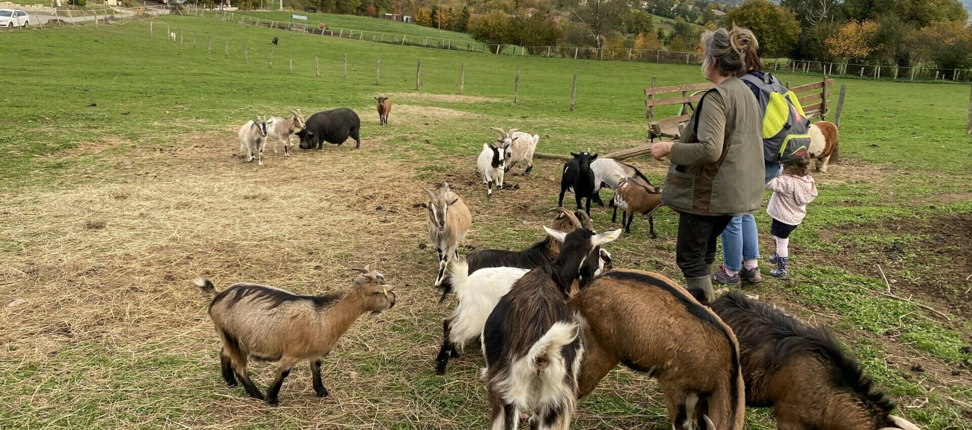 Sanctuaire animalier à Quézac (Cantal)